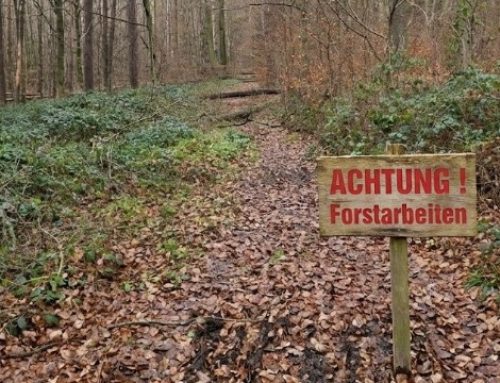 Achtung Forstarbeiten auf der Mö1
